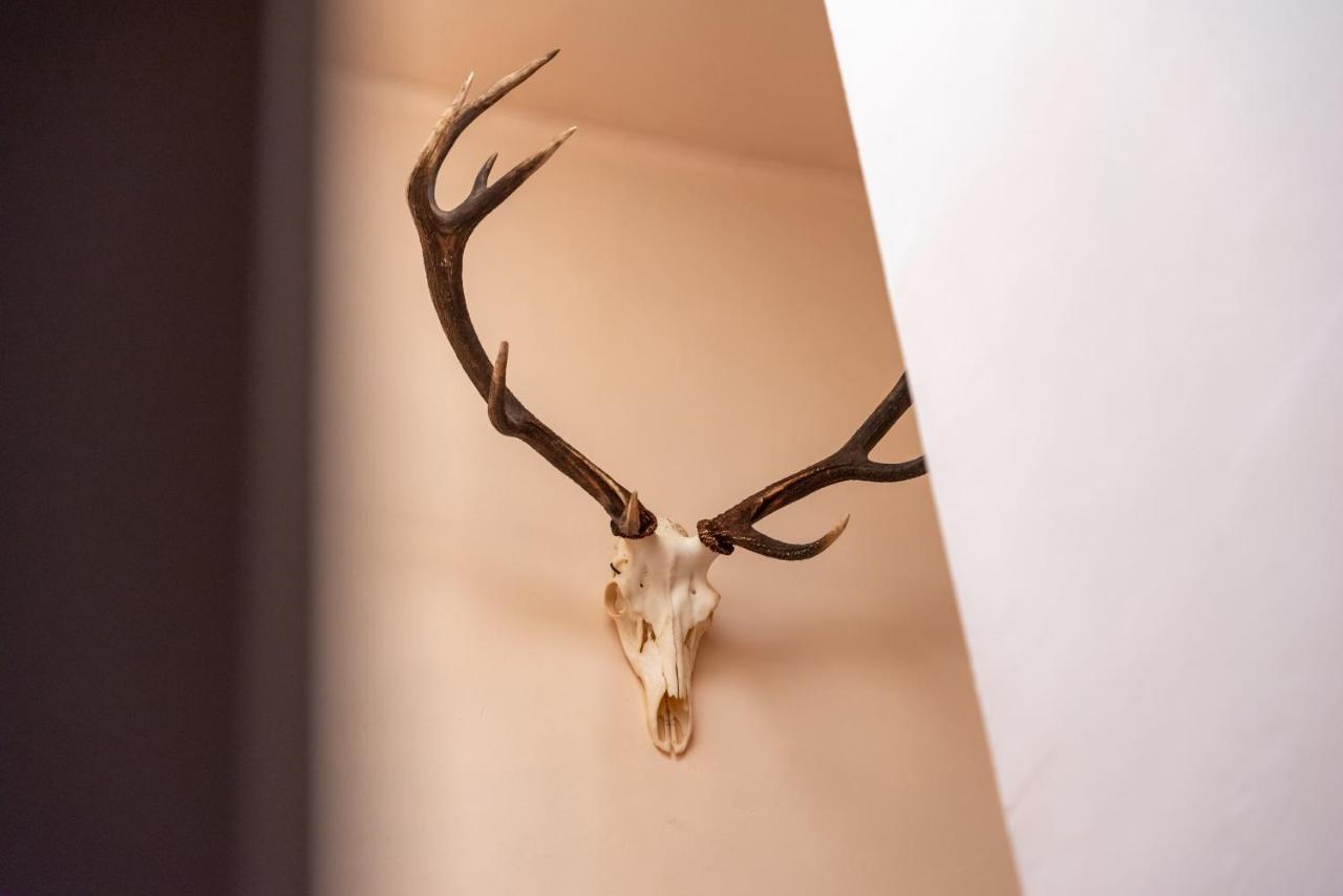 Hotel Le Cor De Chasse Saint-Hubert Bagian luar foto